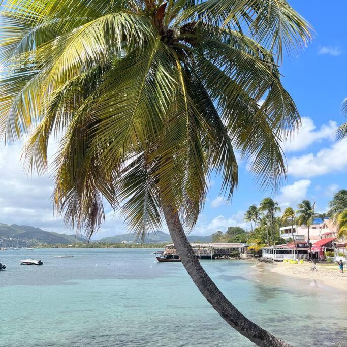 Studio La «Kaz' A Coco» Anse Caritan Sainte-Anne Ngoại thất bức ảnh