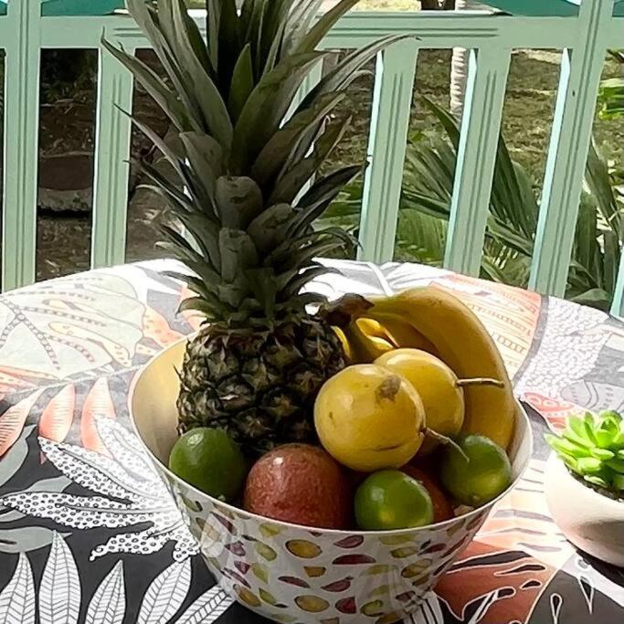 Studio La «Kaz' A Coco» Anse Caritan Sainte-Anne Ngoại thất bức ảnh